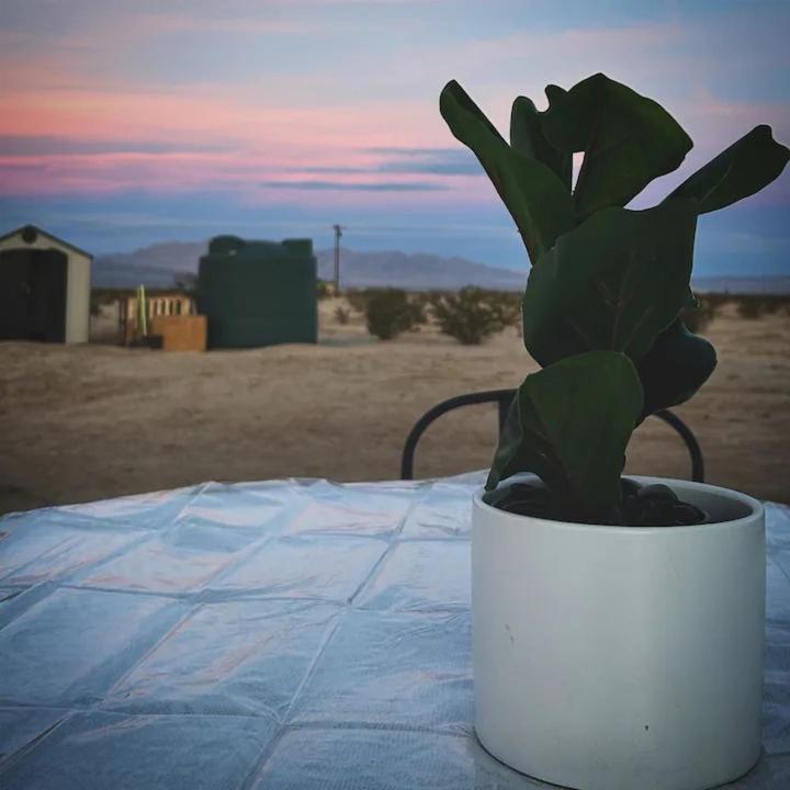 Serene Modern Home Backdoor With Great Wifi, Games, Movies, Patio Seating And Bbq Easy Access To North Joshua Tree National Park In 10 Minutes ทเวนตีไนน์พาล์มส์ ภายนอก รูปภาพ